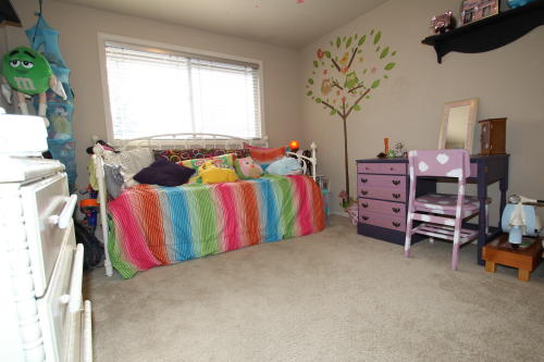 Lower level fireplace